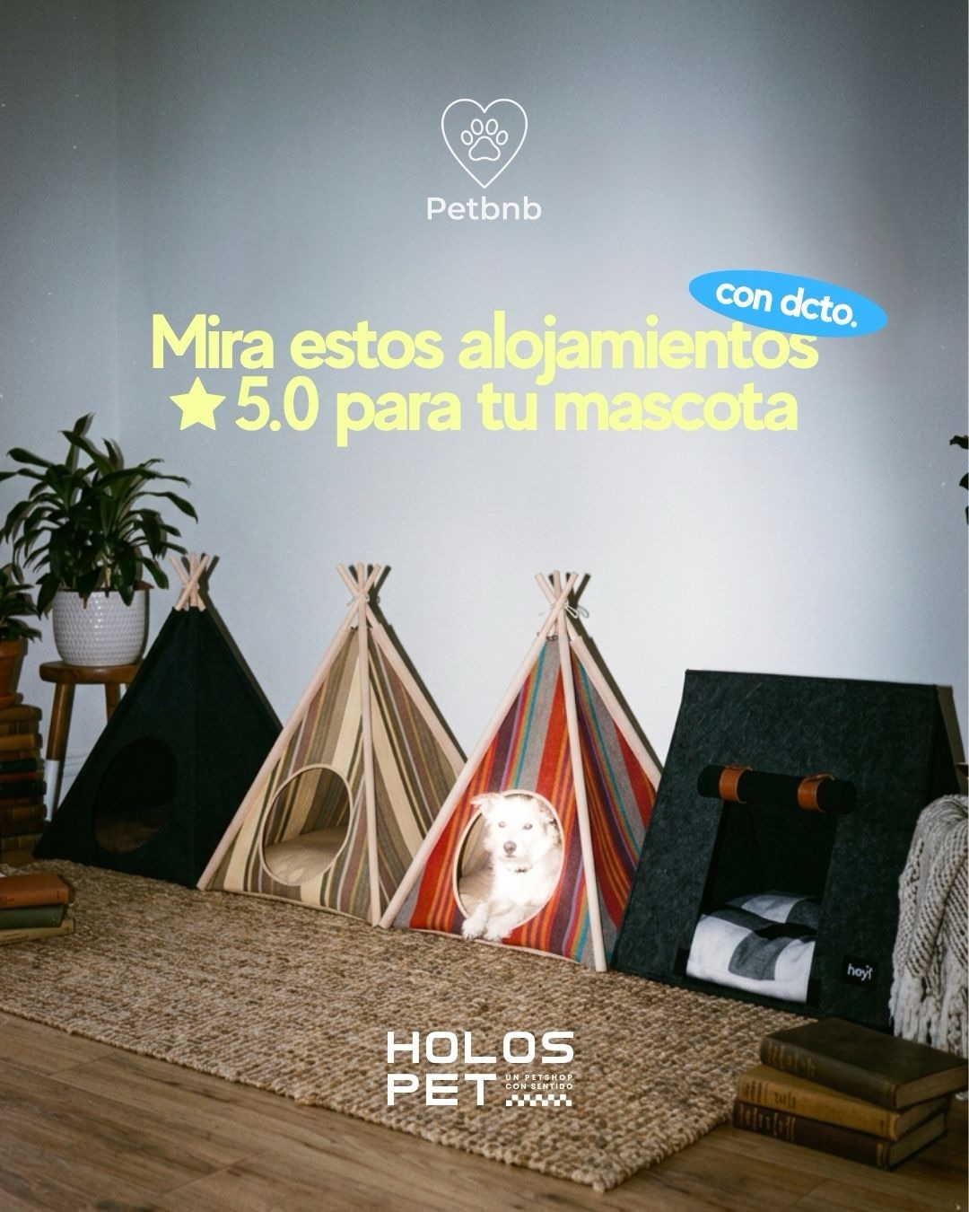 Home 76 791890866 18100012085346755 6421310454556886902 n