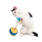 Catit Play Tumbler Bee - Imagen 5