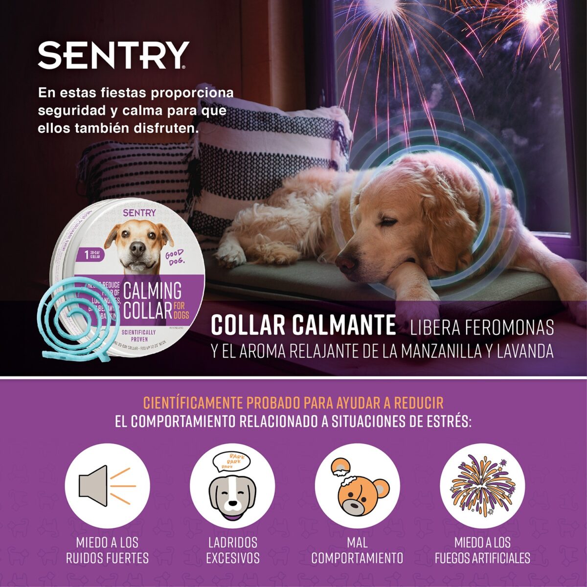 CalmingCollarPerro