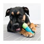Kong Corestrenght Bone - Imagen 2