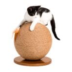 Rascador Esfera Con Pluma Animal Care - Imagen 2