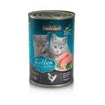 Lata Kitten Ave Leonardo