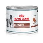 Lata Recovery 145 G Royal Canin