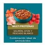 Pouche Gato Adulto y Gatitos Multi Proteína 85 G Purina One - Imagen 2
