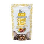 Snack Prevention Shiny Hair Cat 50 G BritCare