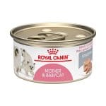 Lata Mother Y Babycat 145 G Royal Canin