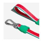 Lola Leash Zee.Dog - Imagen 2