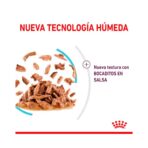Pouche Sensory Feel Gravy Gato 85 Gr Royal Canin - Imagen 2
