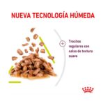 Pouche Sensory Smell Gravy Gato 85 Gr Royal Canin - Imagen 2
