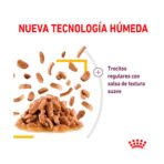 Pouche Sensory Taste Gravy Gato 85 Gr Royal Canin - Imagen 2