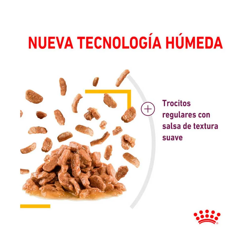 Pouche Sensory Taste Gravy Gato 85 Gr Royal Canin - Imagen 2