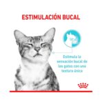 Pouche Sensory Feel Gravy Gato 85 Gr Royal Canin - Imagen 3