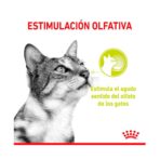 Pouche Sensory Smell Gravy Gato 85 Gr Royal Canin - Imagen 3