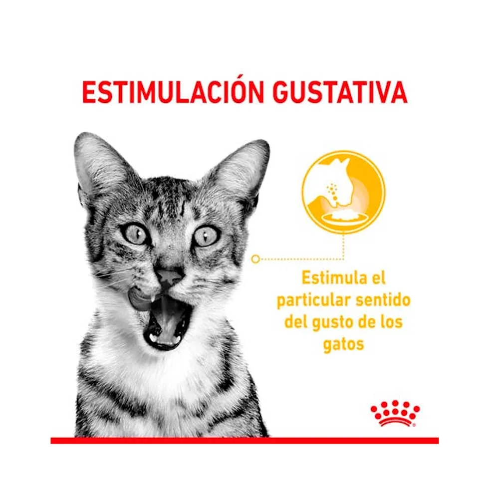 Pouche Sensory Taste Gravy Gato 85 Gr Royal Canin - Imagen 3