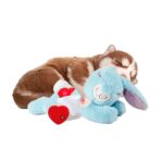 Juguete Cachorro Little Buddy Heart Beat Conejo Afp - Imagen 2