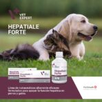 DETALLES DEL ADJUNTO VET-EXPERT-HEPATIALE-FORTE