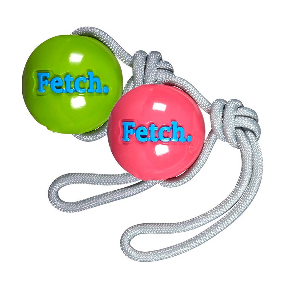 Pelota Con Cuerda 23cm Dog