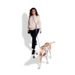 Andromeda Handsfree Leash Zee.Dog - Imagen 3