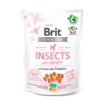 Snack Brit Crunchy Crackers Con Insectos Y Suero De Leche 200Gr