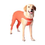 Body De Cobre 2 Patas