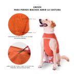 Body De Cobre 2 Patas - Imagen 2