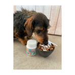 Pre & Probióticos Perro Y Gato 60 G Winga - Imagen 3
