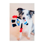 Juguete Rock Zoo King Boxer Panda With Squeaker - Imagen 2