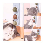 Set Pelotas Giratorias 3+1 Wondercat - Imagen 6