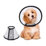 Collar Isabelino Con Velcro Marben Pets