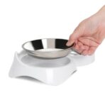 Plato Gato Doble De Borde Bajo Pixi Catit - Imagen 3