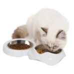 Plato Gato Doble De Borde Bajo Pixi Catit - Imagen 5