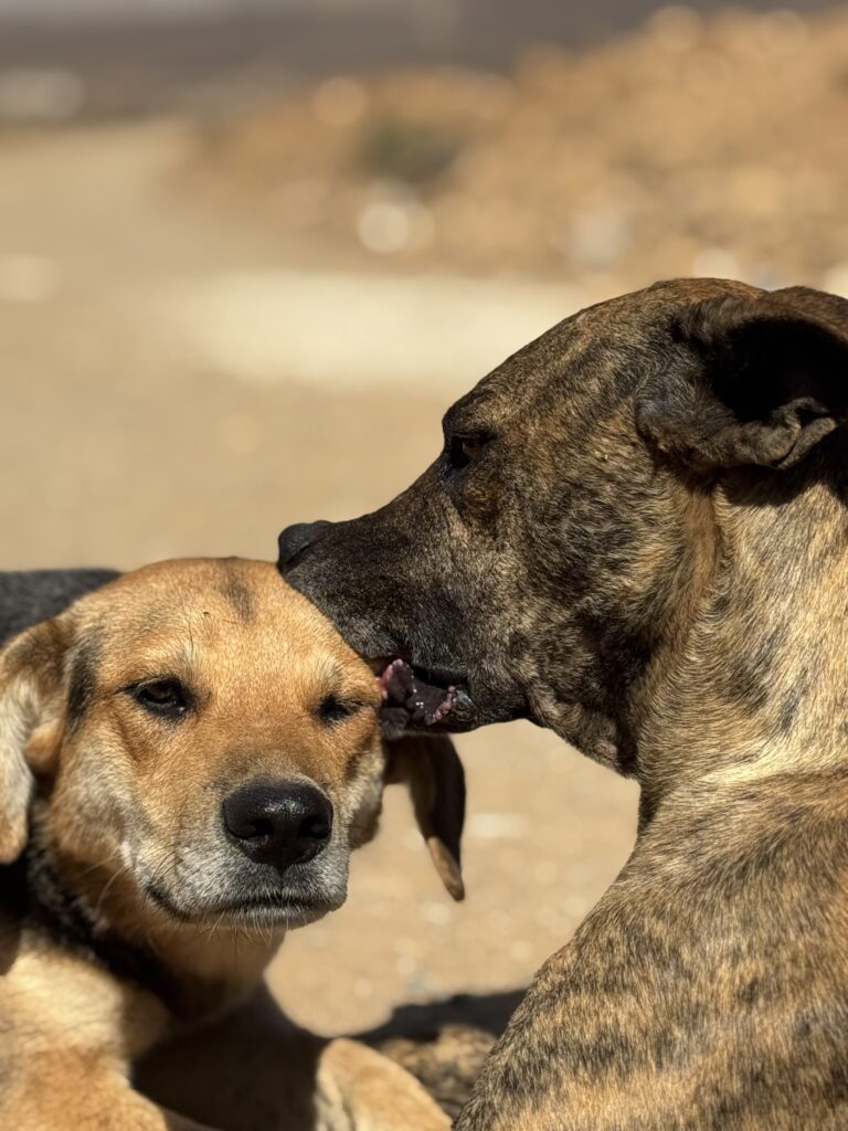 Nuestros inicios 4 1