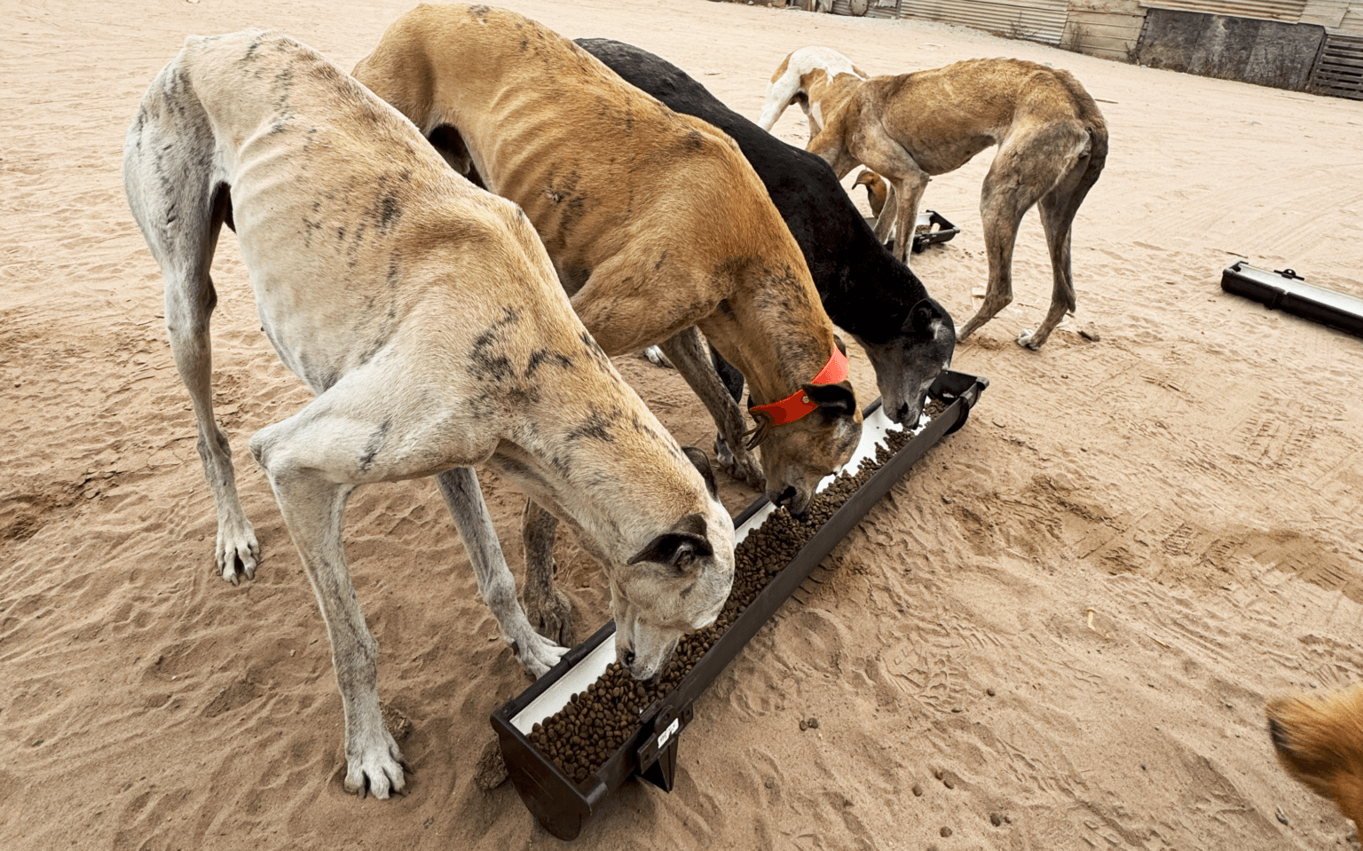 Nuestros inicios 5 IMG 6275