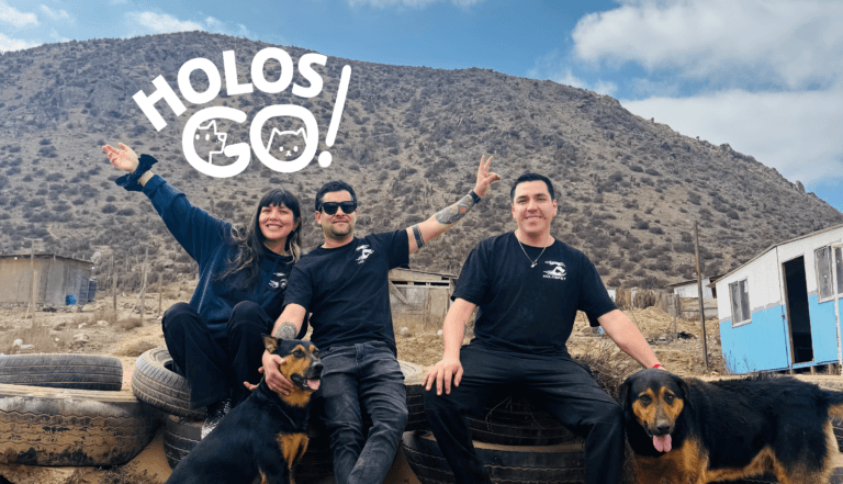 Nuestros inicios