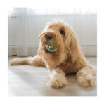 Kong Grinz Ball 2 Unidades Talla L - Imagen 3