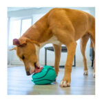 Kong Lick Rewards M/L - Imagen 3