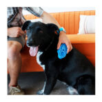 Kong ZoomGroom Dog Azul - Imagen 3