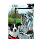 Correa Manos Libres Para Bicicleta Pawise - Imagen 3