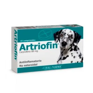 ARTRIOFIN 10 COMP.