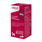 GALLIPRANT 60 MG X 30 COMP