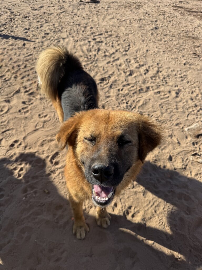 Proyecto Alimentación, Jueves! 4 1