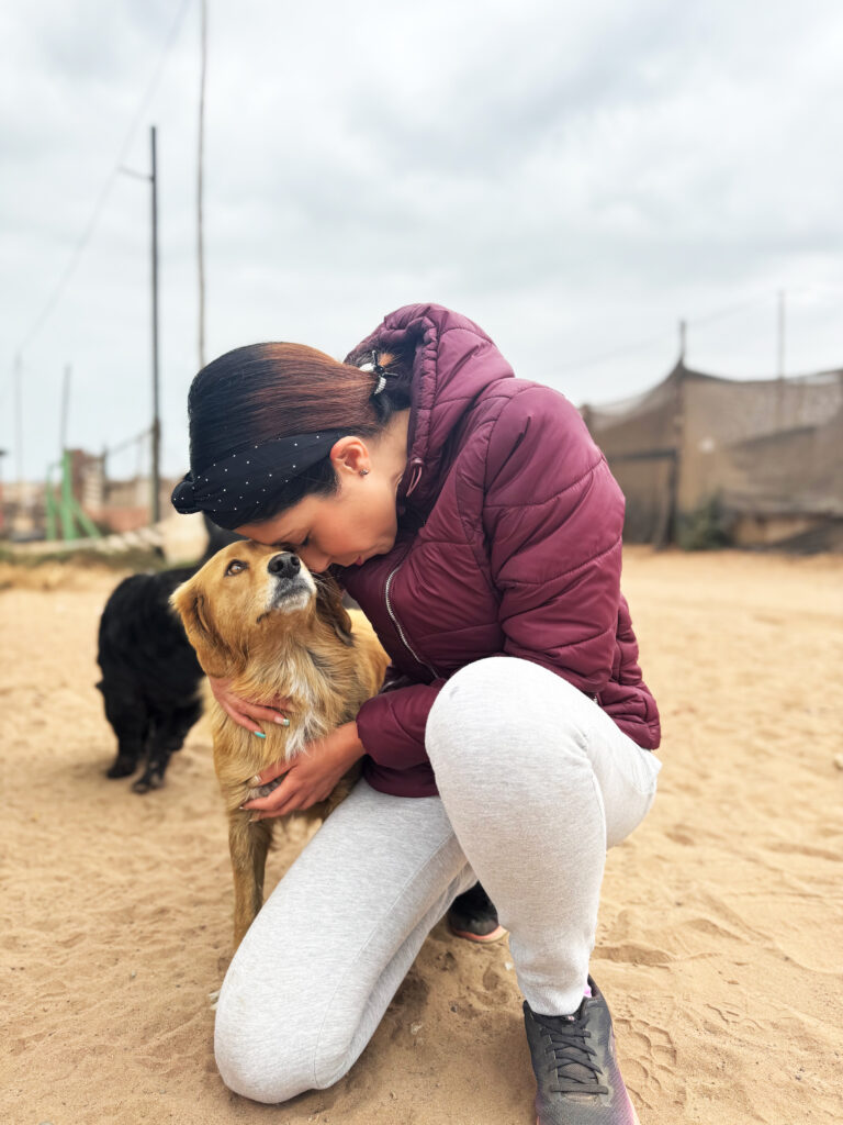 Voluntarios HolosGO! 4 12