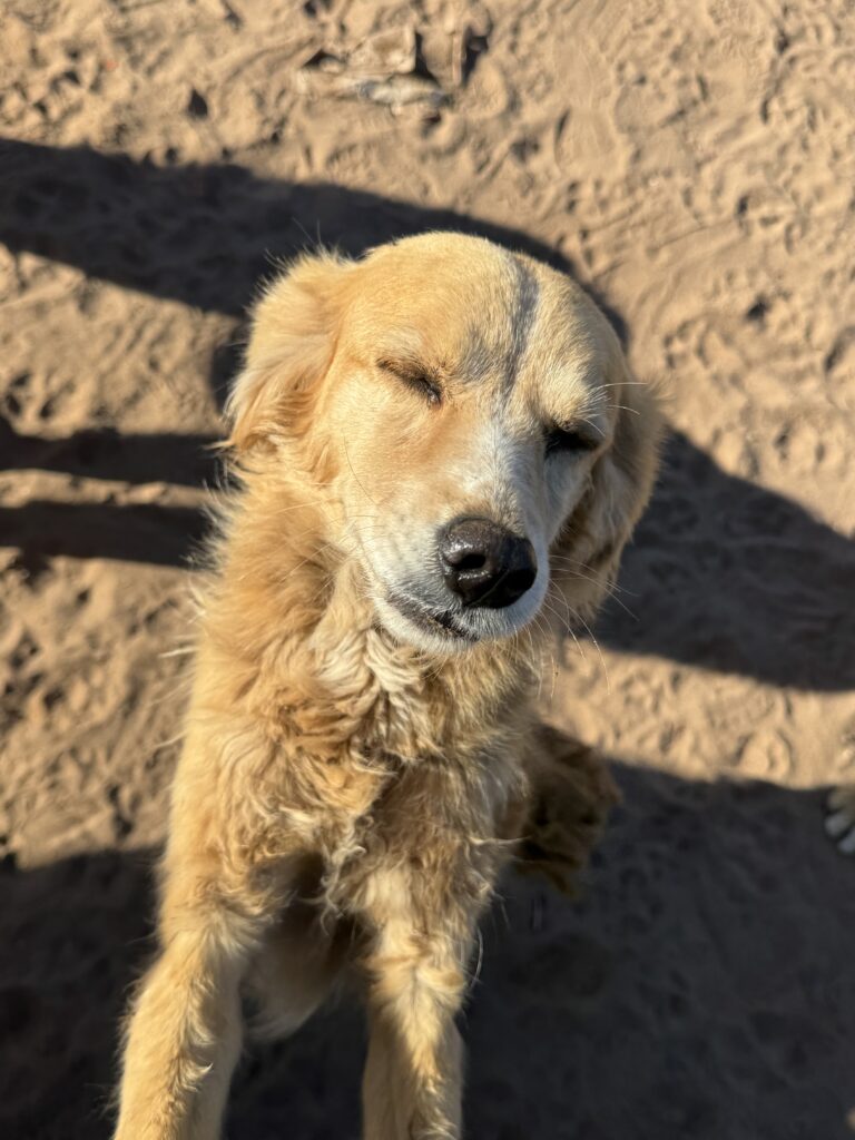 Proyecto Alimentación, Jueves! 2 2