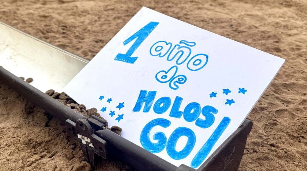 Un año de HolosGO!
