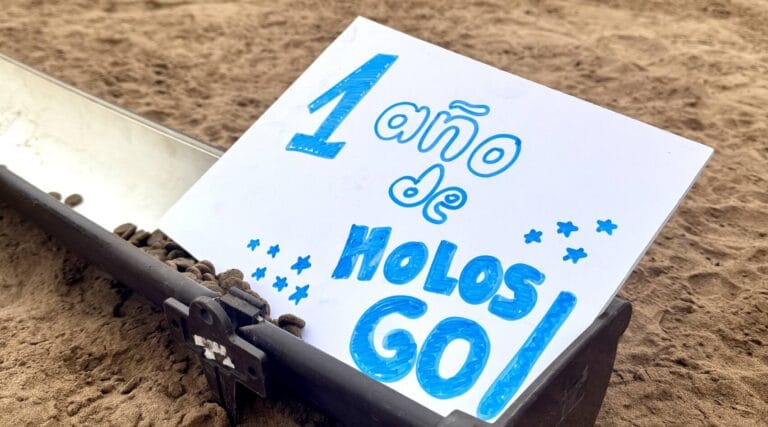 Un año de HolosGO!