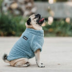 Corderito Cuello Alto Celeste Pet Lounge - Imagen 6