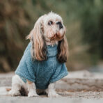 Corderito Cuello Alto Celeste Pet Lounge - Imagen 4