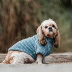 Corderito Cuello Alto Celeste Pet Lounge - Imagen 5
