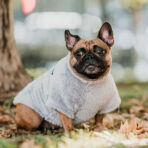 Corderito Cuello Alto Gris Pet Lounge - Imagen 3