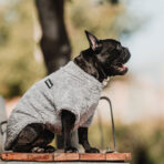 Corderito Cuello Alto Gris Pet Lounge - Imagen 5